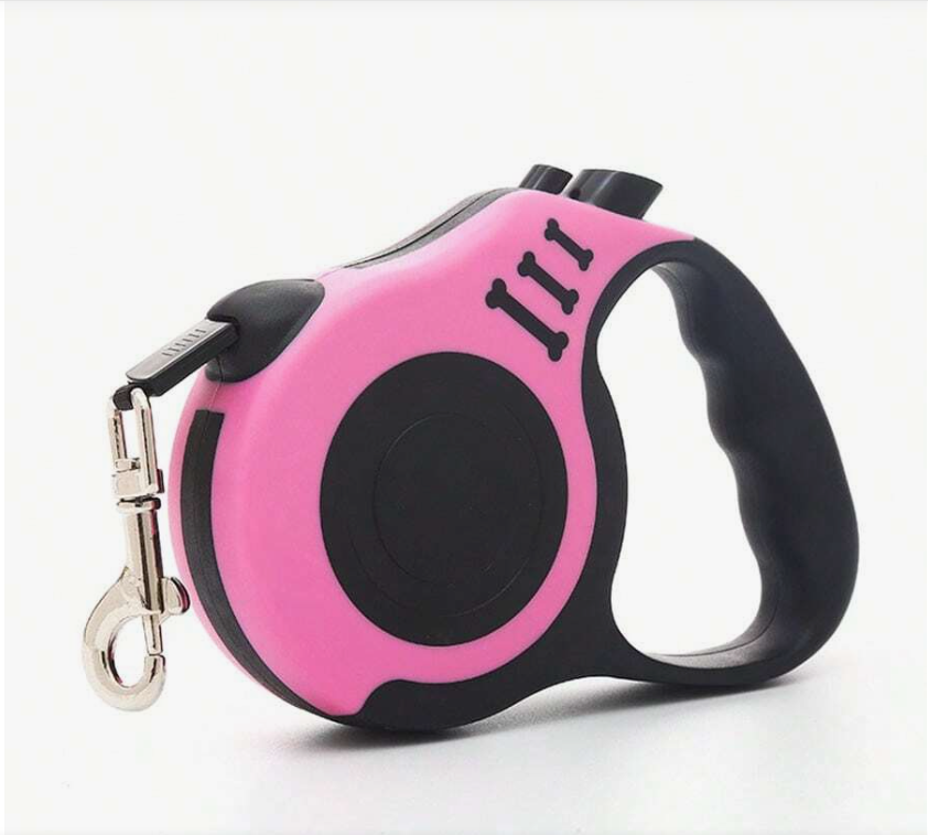 laisse pour chien