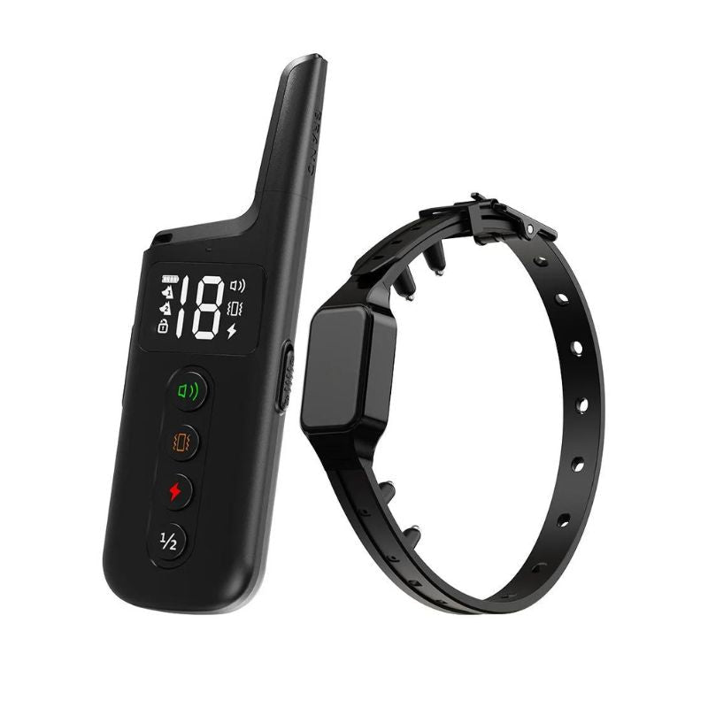 Collier Anti Fugue Chien Slim