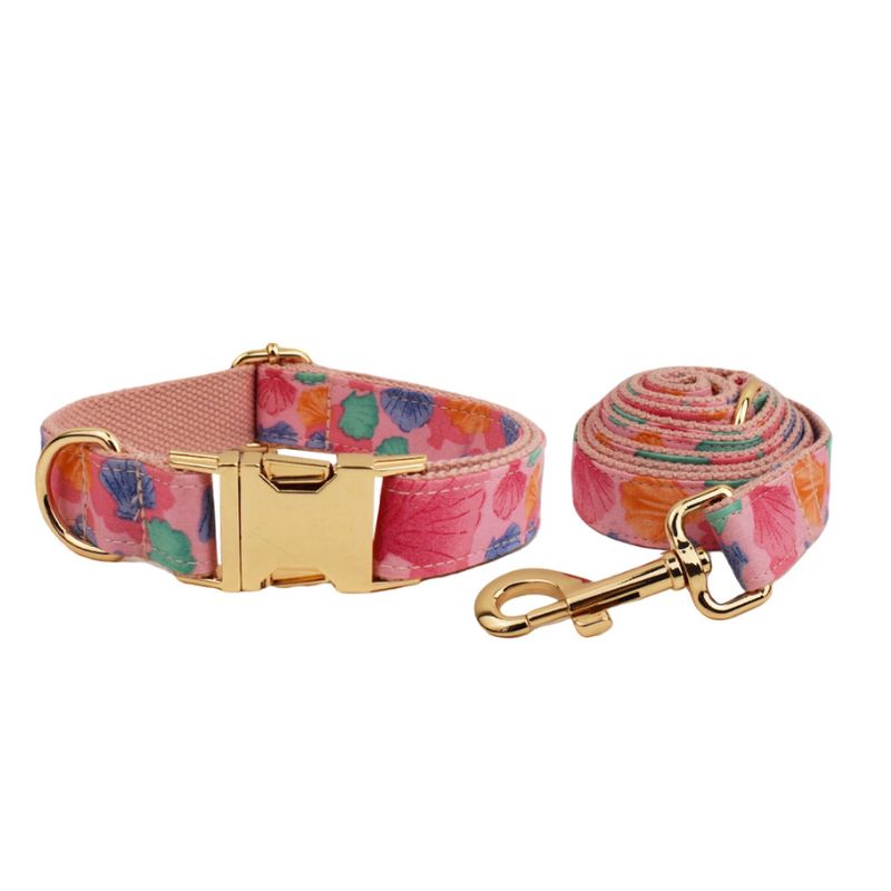 Laisse pour Chien Shell