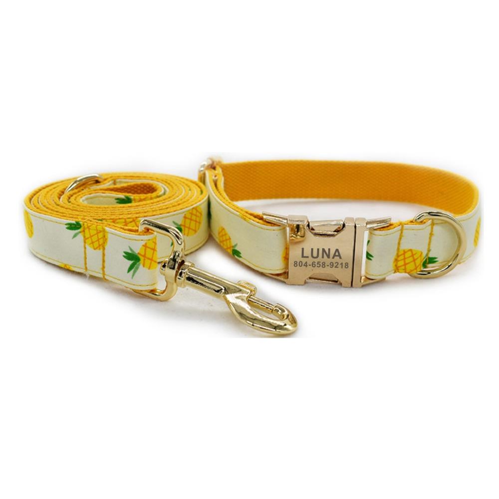 Laisse pour Chien Ananas