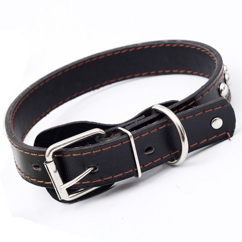 Collier Chien Cuir Clous Ronds