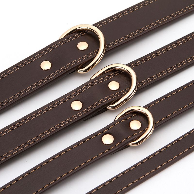 Collier Chien Cuir Premium