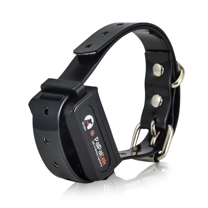 Collier Electrique pour Chien