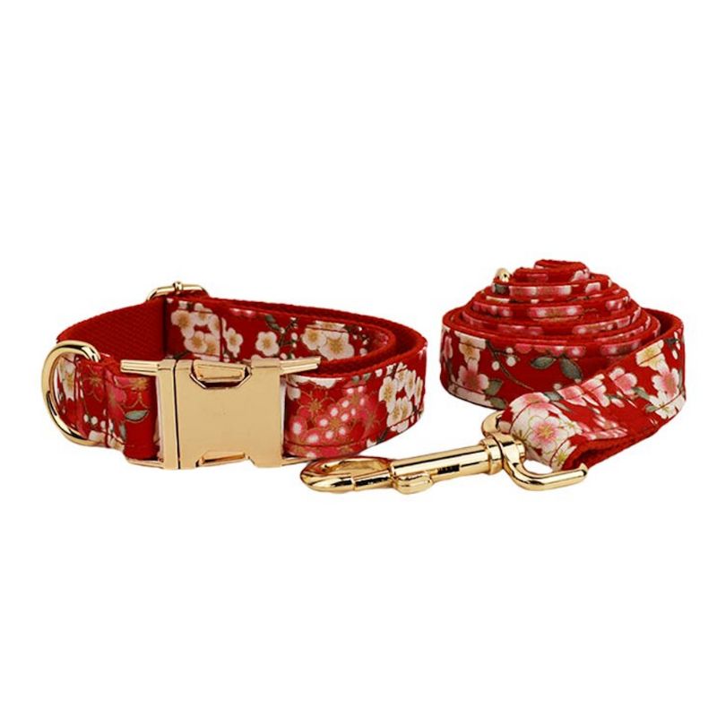 Laisse pour Chien Red