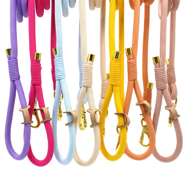 Laisse pour Chien Cordon