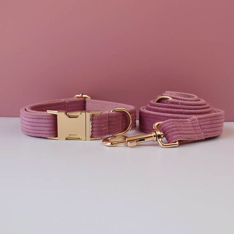 Laisse pour Chien Framboise