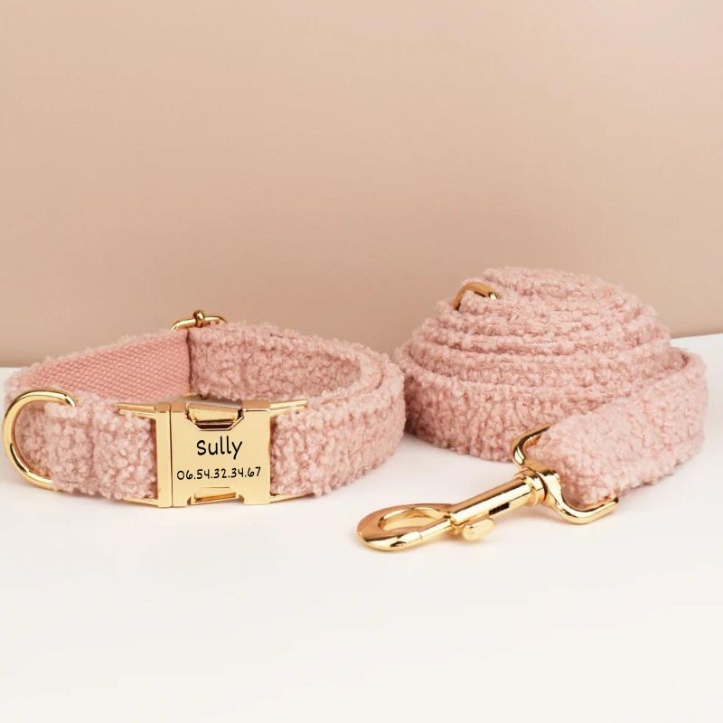 Laisse pour Chien Curly
