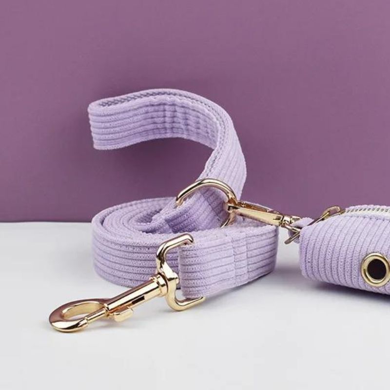 Laisse pour Chien Lila