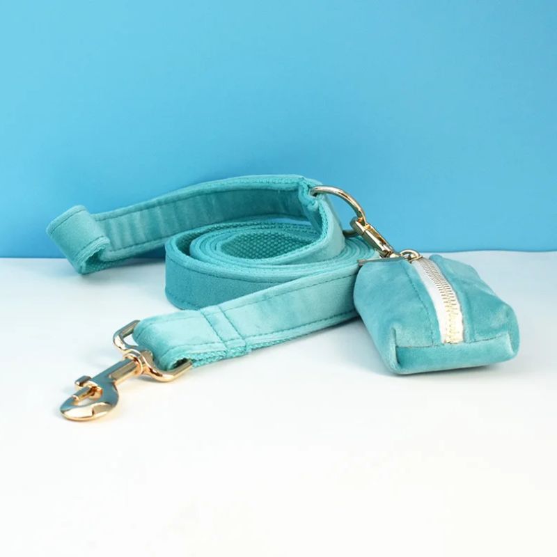 Laisse pour Chien Turquoise