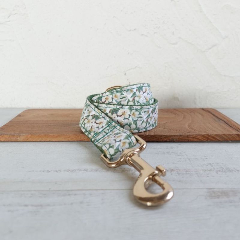 Laisse pour Chien Anis