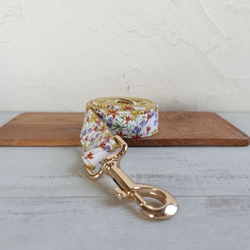 Laisse pour Chien Lys