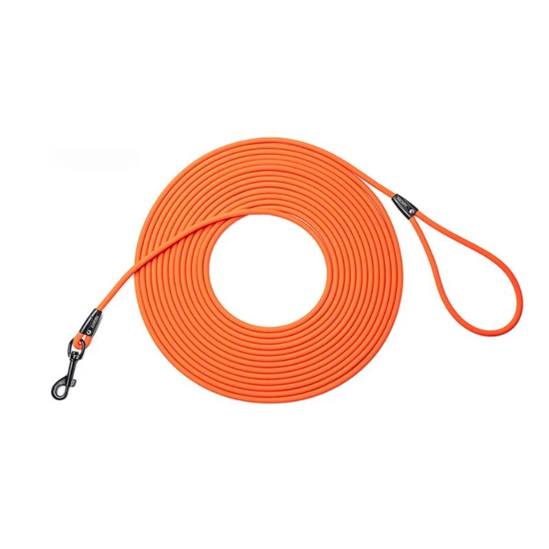 Longe Chien Orange