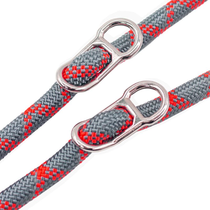 Laisse pour Chien Ajustable