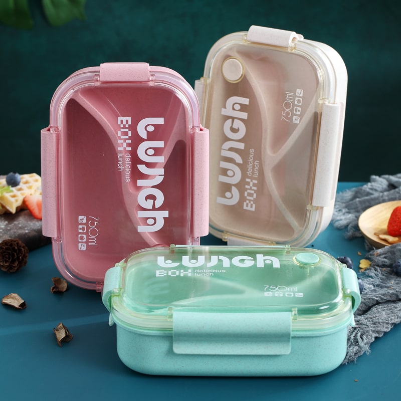 Bento Box Verte