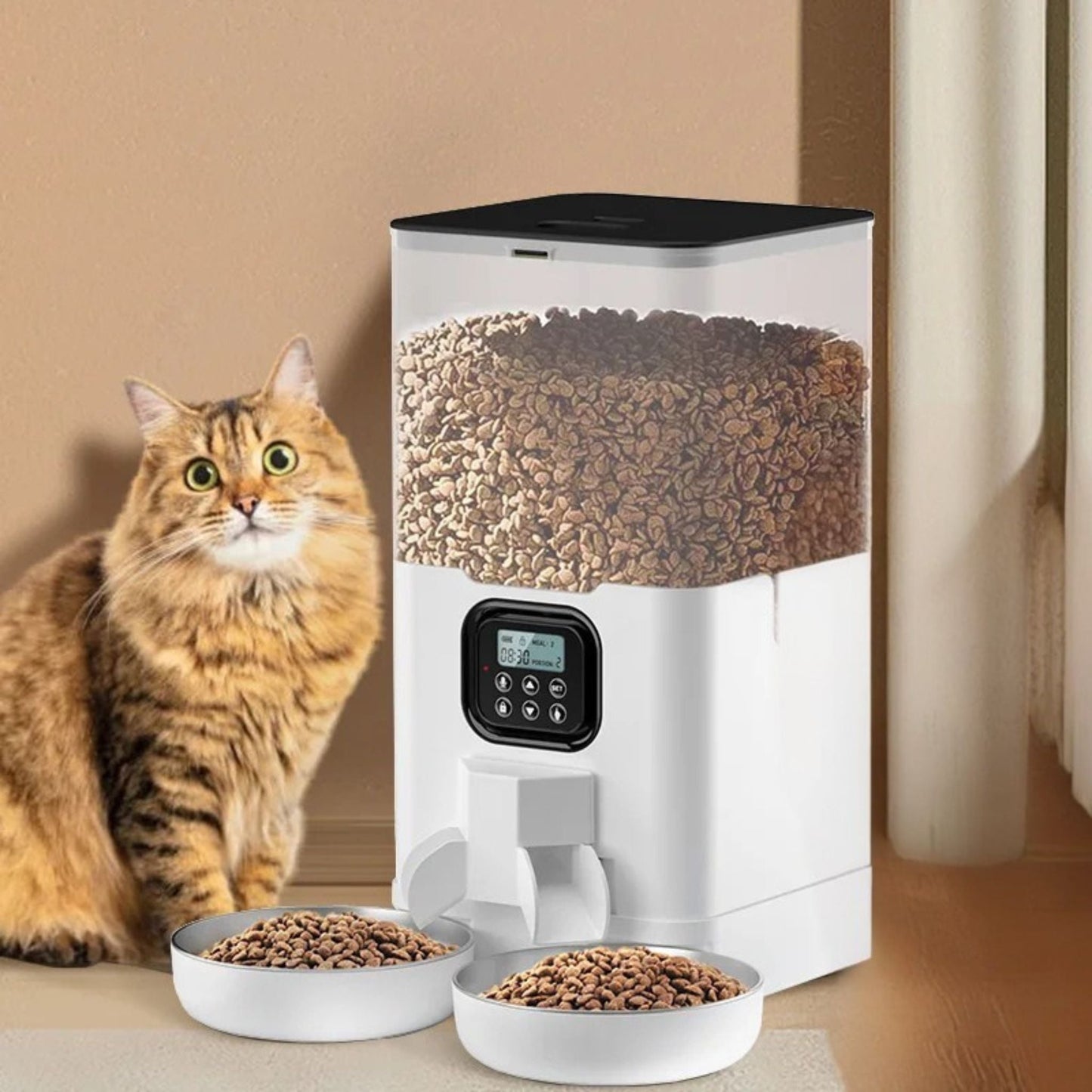 distributeur croquette chat | Duo Gourmand