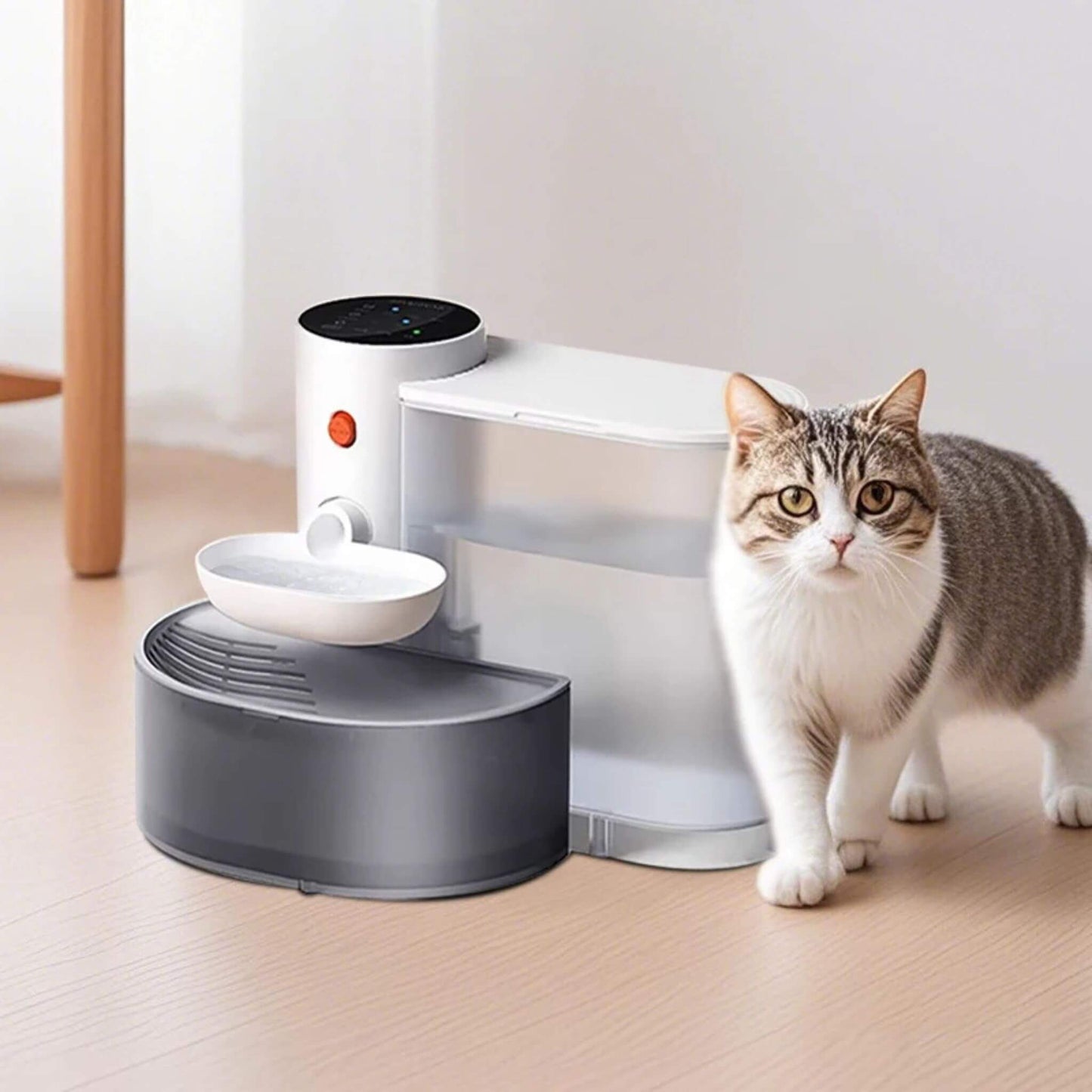fontaine a eau chat | AquaGourmet