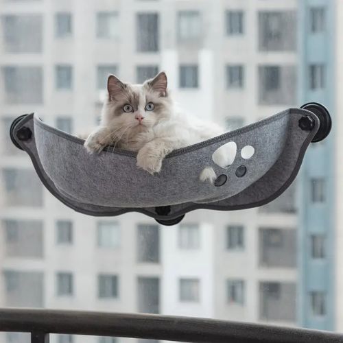hamac chat fenetre gris