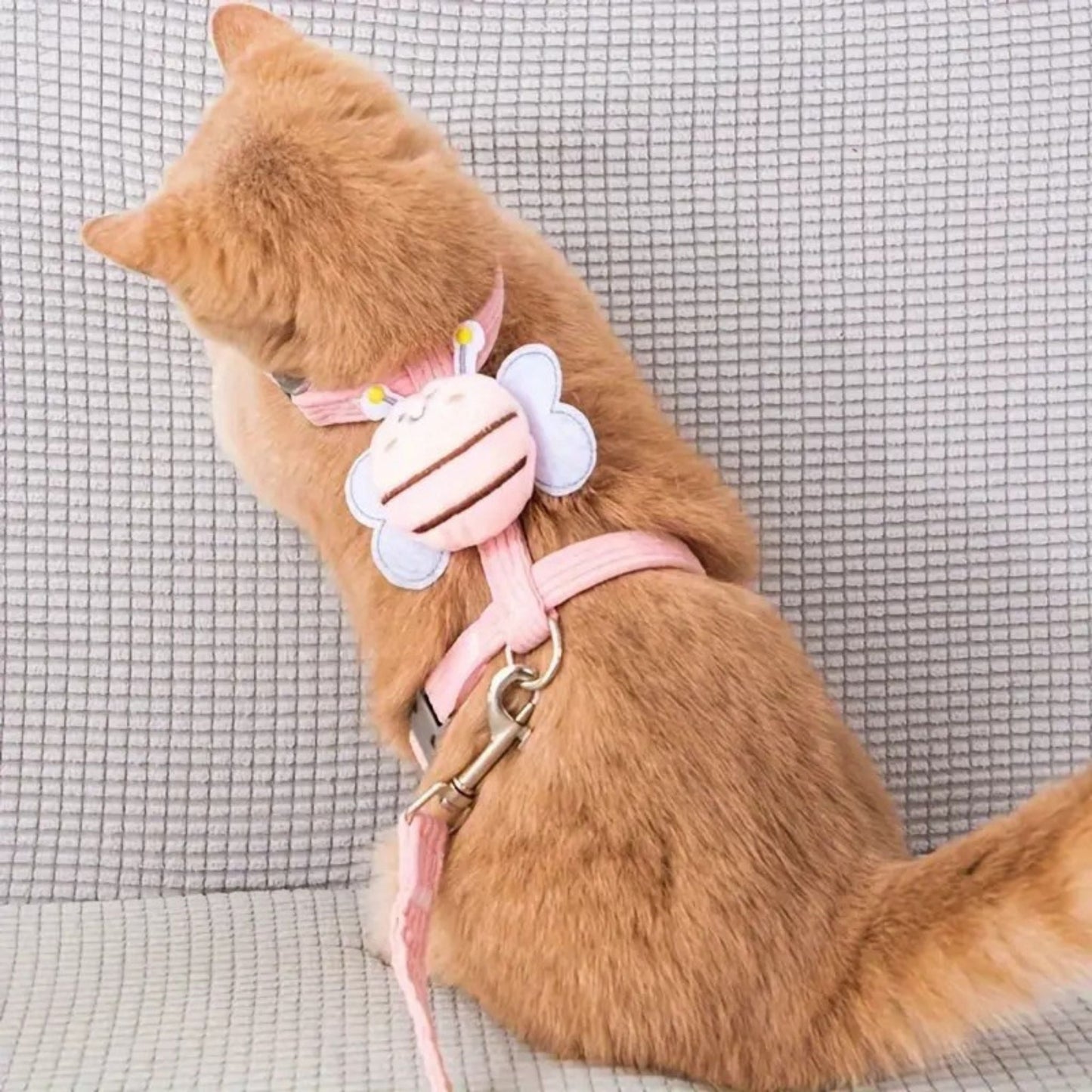 harnais pour chat | STYLÉ