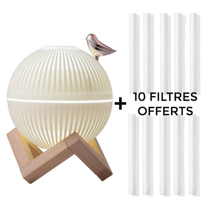 Humidificateur d'air 2en1 décoratif - KIKO