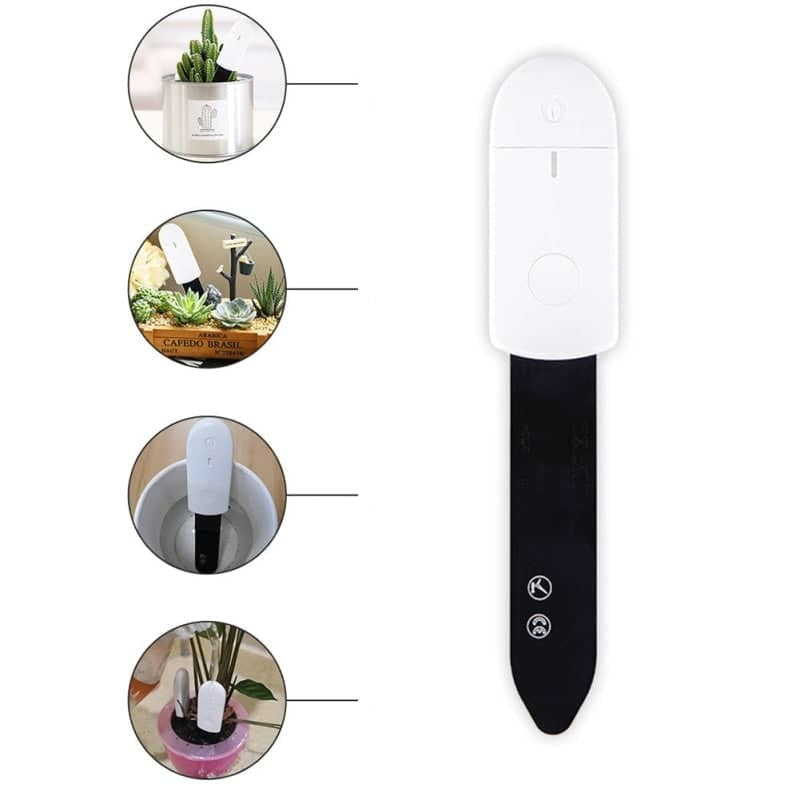 Hygromètre pour plante indicateur LED