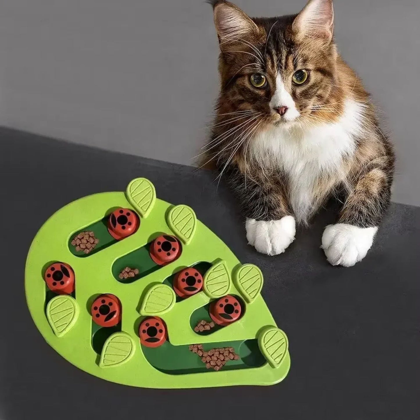 gamelle chat anti glouton | Feuille puzzle