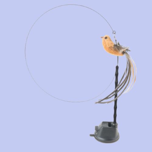 jouet interactif chat | JOUBIRD