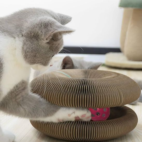 jouet pour chat | JOUGRIFF