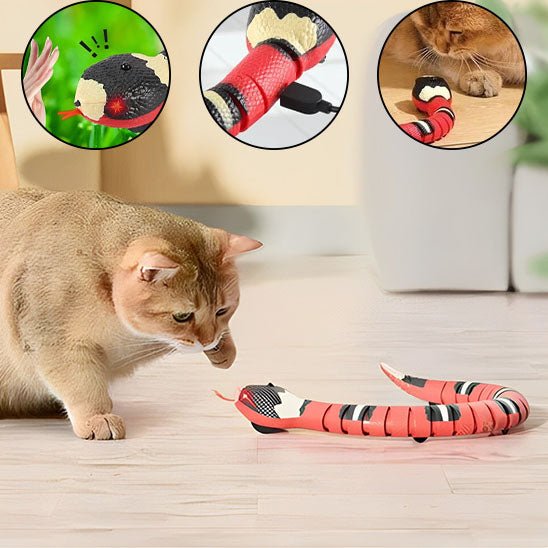 jouet pour chat | JOUSNAKE