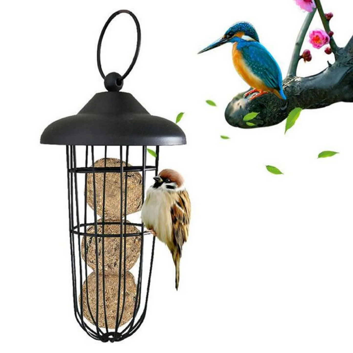 Mangeoire Oiseaux Noire Suspendue avec Anneau de Style Grillagé