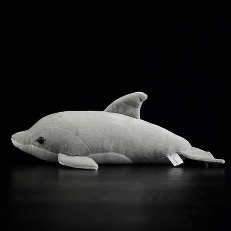Dauphin Gris Sonar