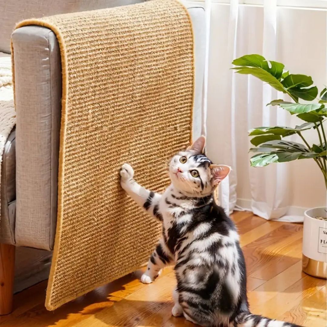tapis chat griffoir adhésif - Happy minet