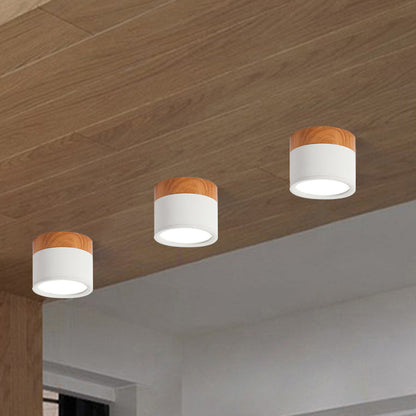 VibrantGlow - Petite lampe de plafond au style élégant