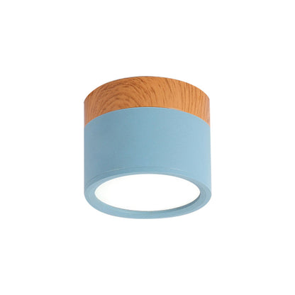VibrantGlow - Petite lampe de plafond au style élégant