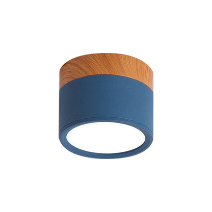VibrantGlow - Petite lampe de plafond au style élégant
