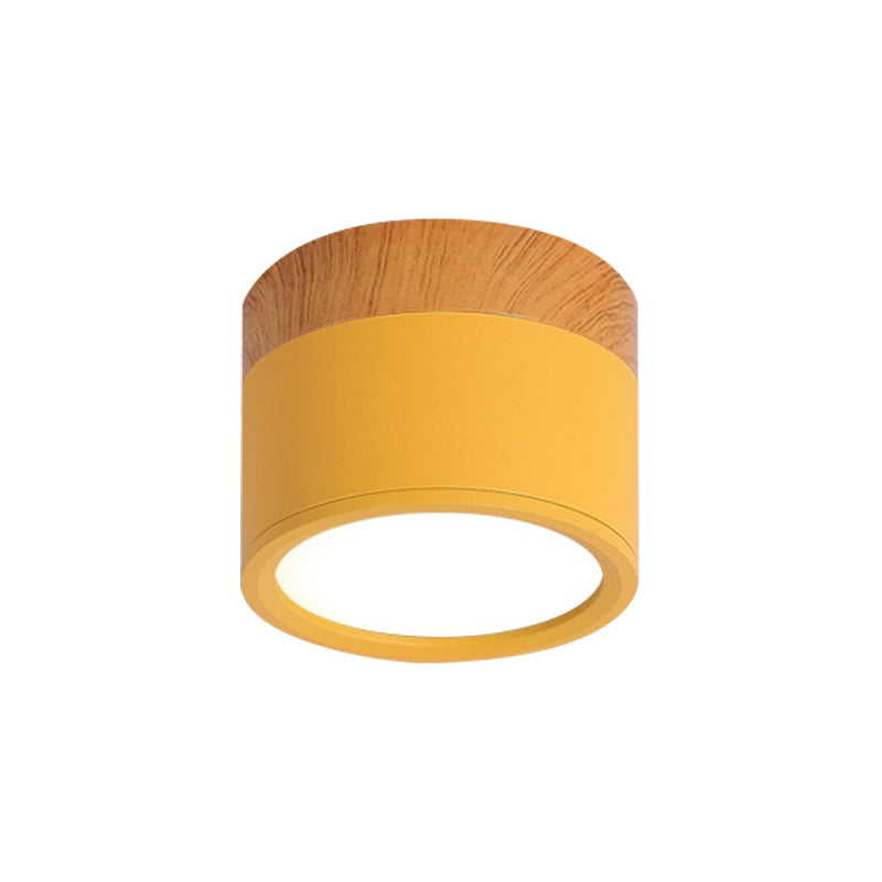 VibrantGlow - Petite lampe de plafond au style élégant
