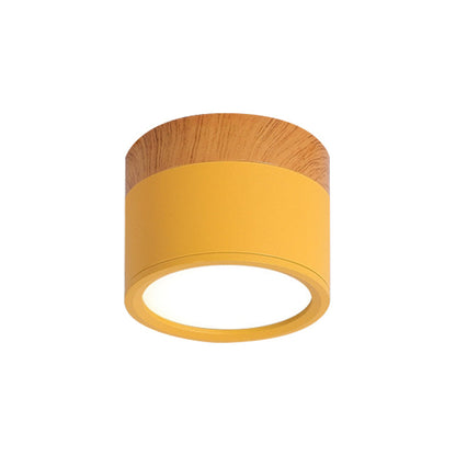 VibrantGlow - Petite lampe de plafond au style élégant
