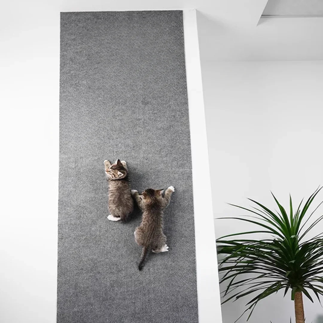 Tapis Griffoir Autocollant – Protégez Vos Meubles, Faites Plaisir à Votre Chat