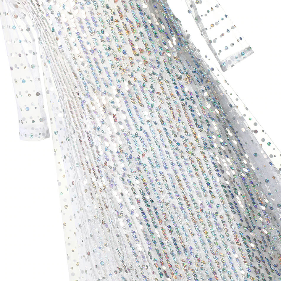 Robe Princesse Argentée