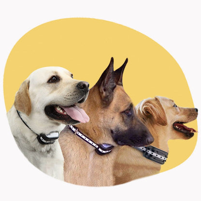 PetBound – Clôture Sans Fil pour Chiens et Collier d’Entraînement | Méthodes Douces et Rechargeables | Résistant à l’Eau
