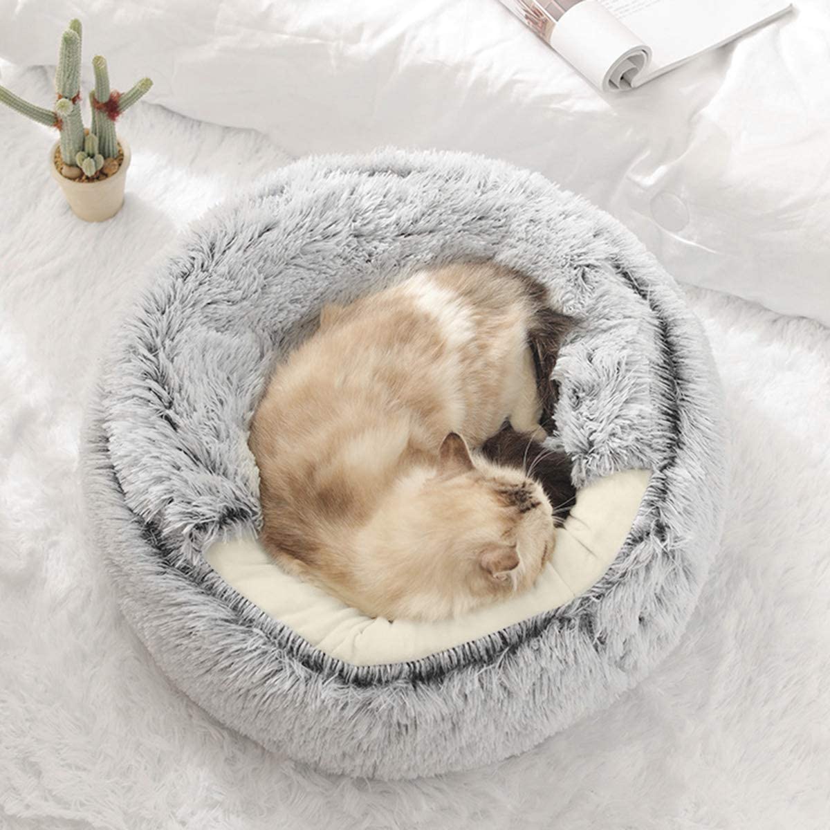 Panier pour Chat Design Scandinave Confort+