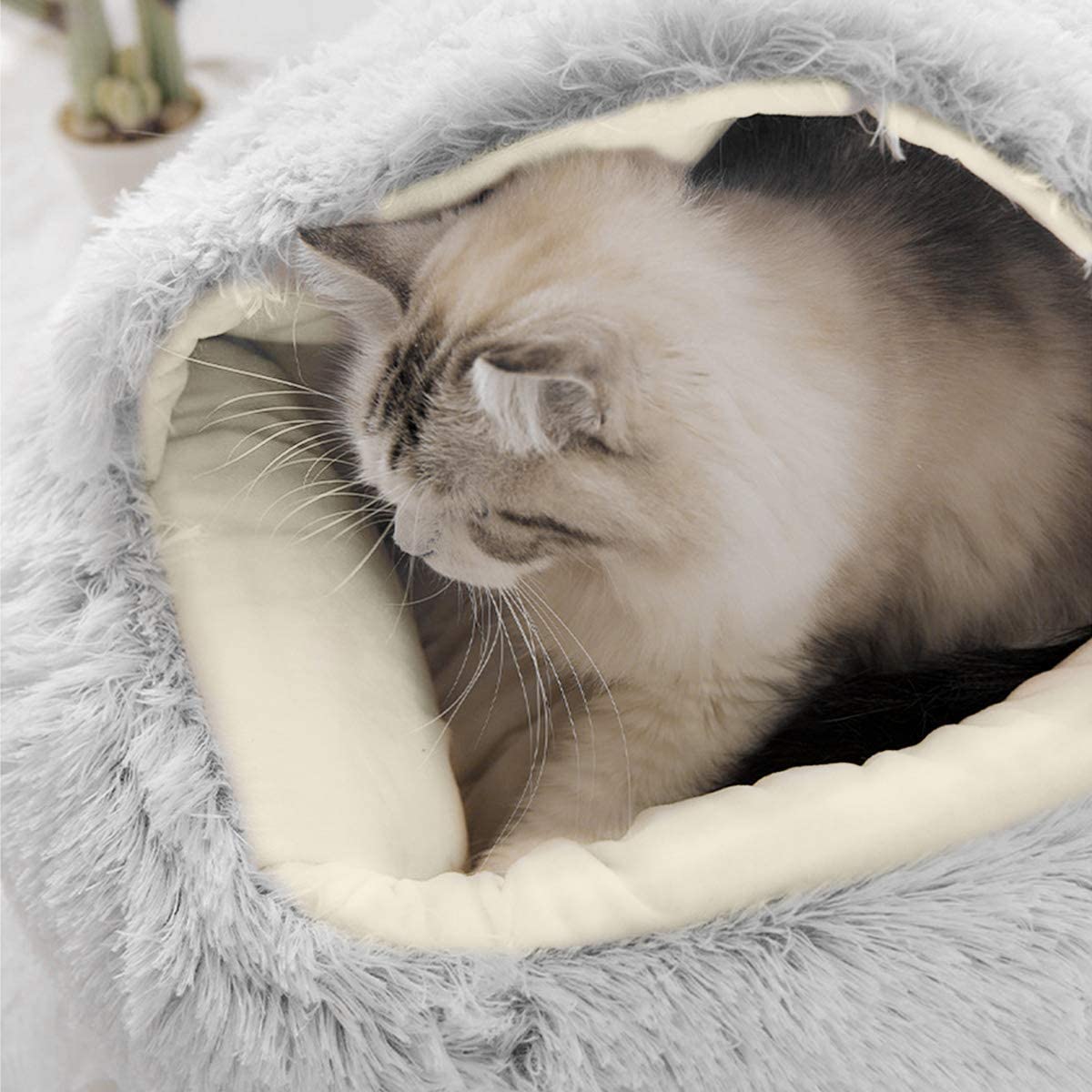 Panier pour Chat Design Scandinave Confort+