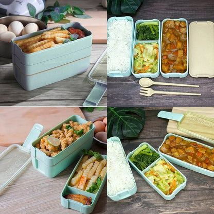 Bento Box Lunch 900ml (Vert)