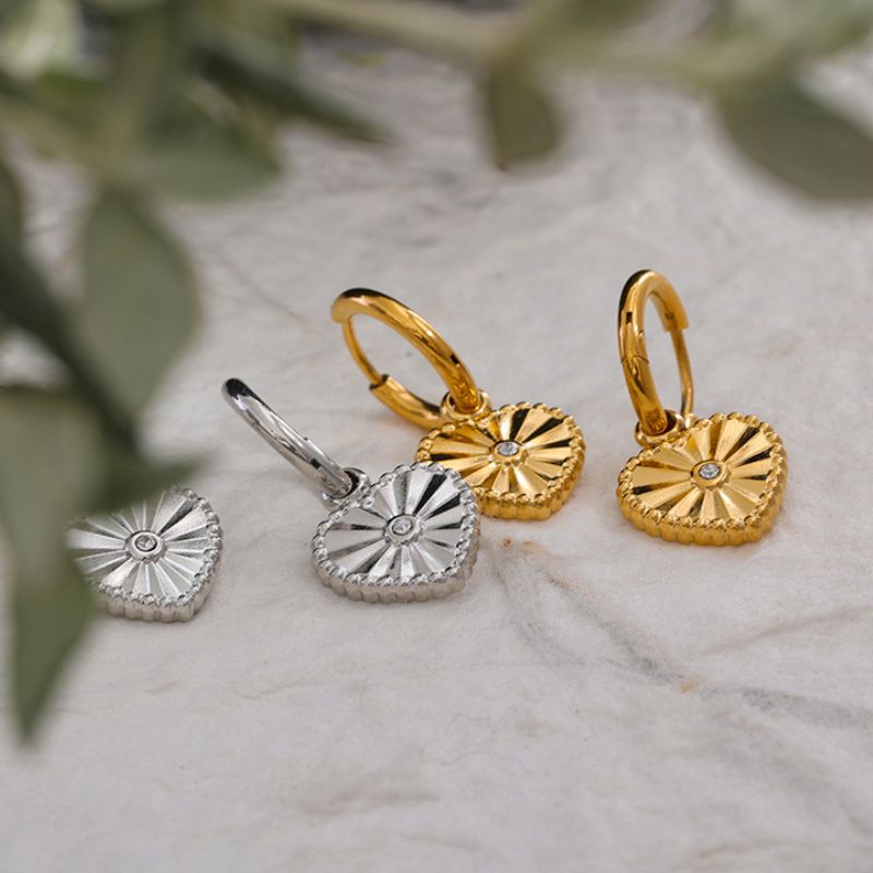 Boucle d Oreille Acier Inoxydable Dina