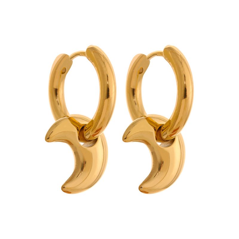 Boucle d Oreille Acier Inoxydable Stacy