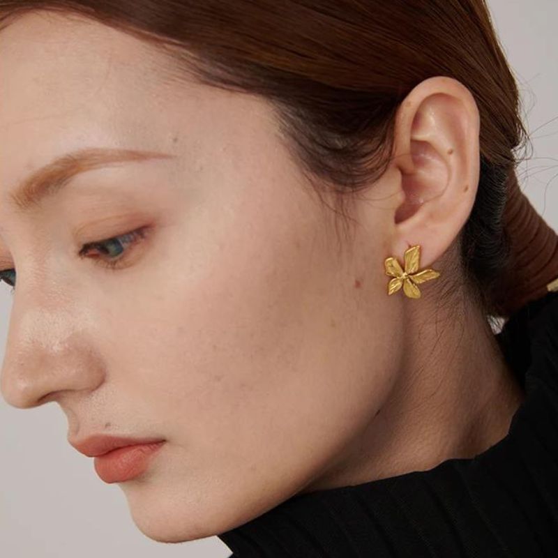 Boucle d Oreille Acier Inoxydable Goya