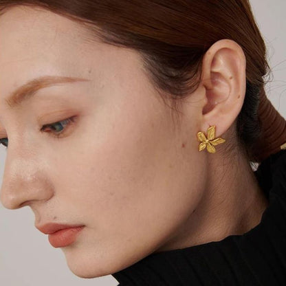 Boucle d Oreille Acier Inoxydable Goya