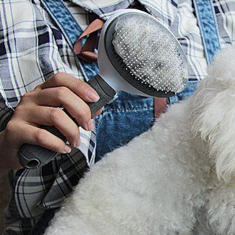 Brosse Pour Chien Rectangle