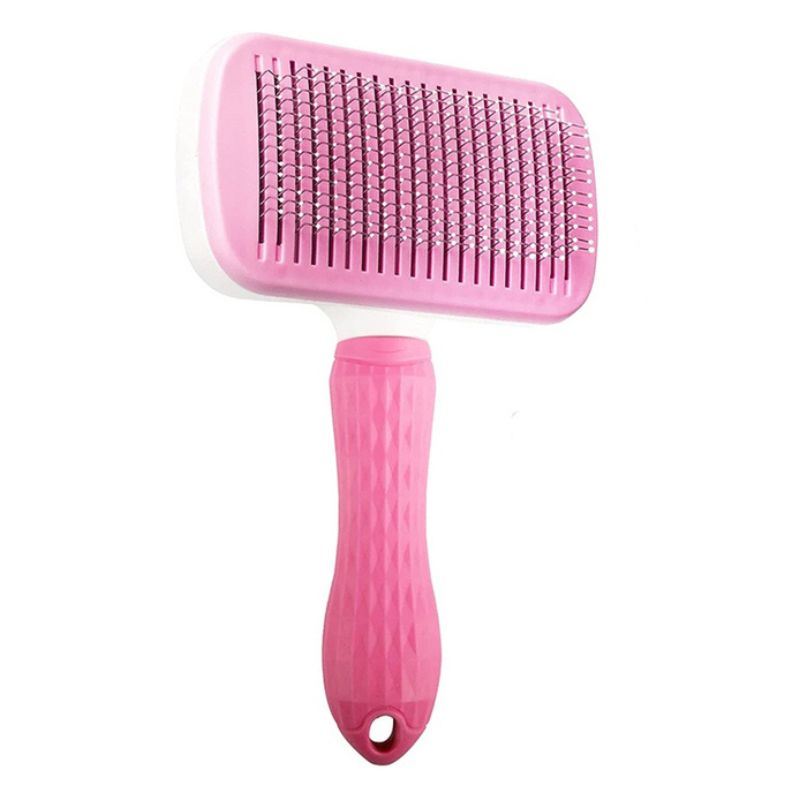 Brosse Poils Courts