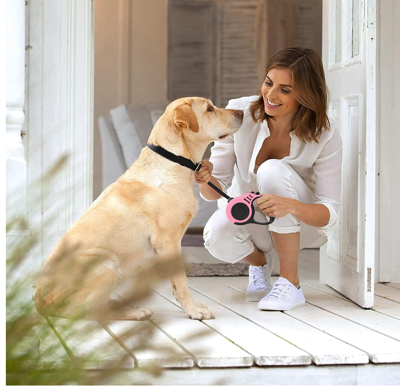 Laisse pour Chien Rétractable  FlexiWalk™