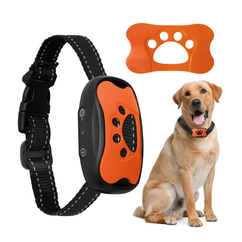 Collier Anti aboiement Orange 